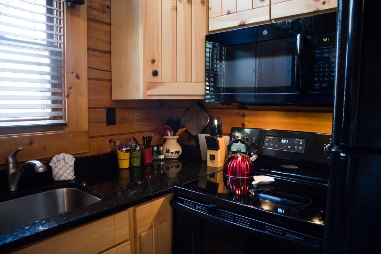 Beary Cozy Cabin Sevierville Extérieur photo